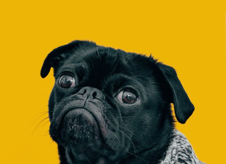 L'Avènement du Marketing Digital